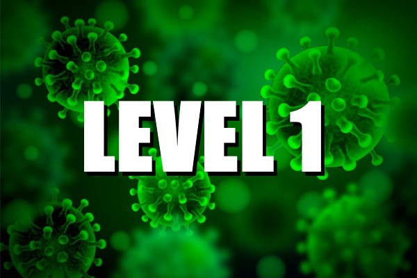 Level 1 restrictions: Fuerteventura, La Palma, El Hierro