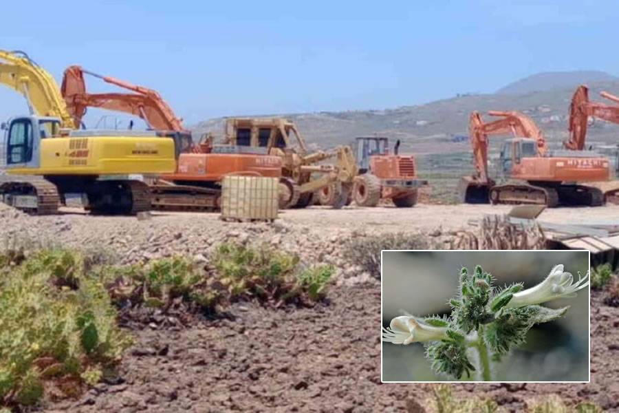 The Government orders the works at Cuna del Alma to be stopped