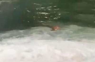 A man jumps into the sea in the Santa Cruz port trying to chase a ferry