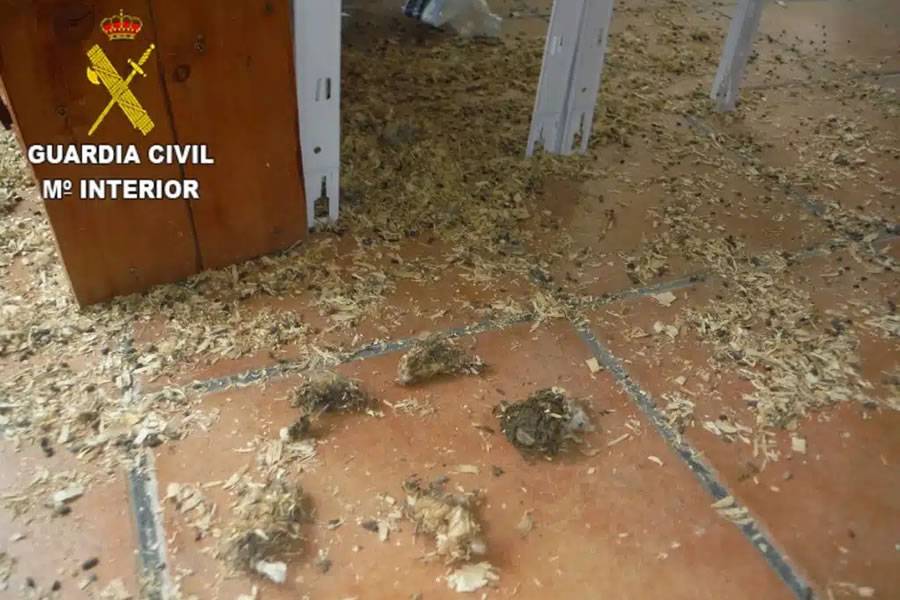 Agents find dead animals in a well-known pet shop in Tenerife from starvation