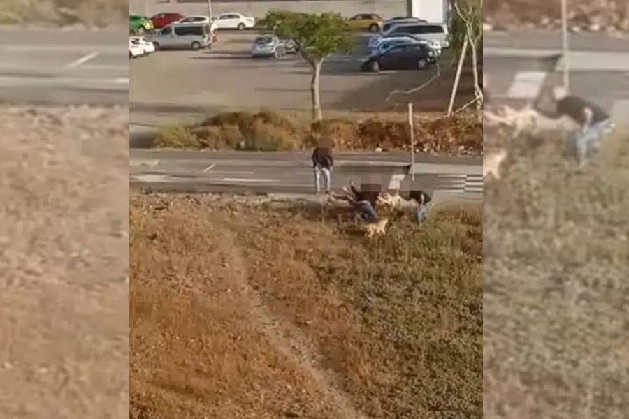 VIDEO: Locals up in arms after police shoot a dog in broad daylight