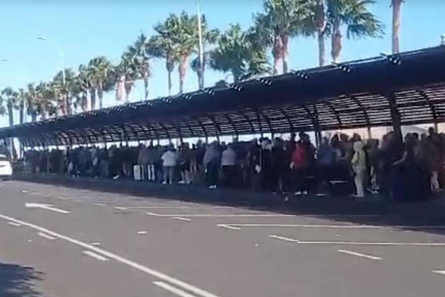 Tenerife South Airport set to be designated a "Sensitive Zone" to end taxi queues