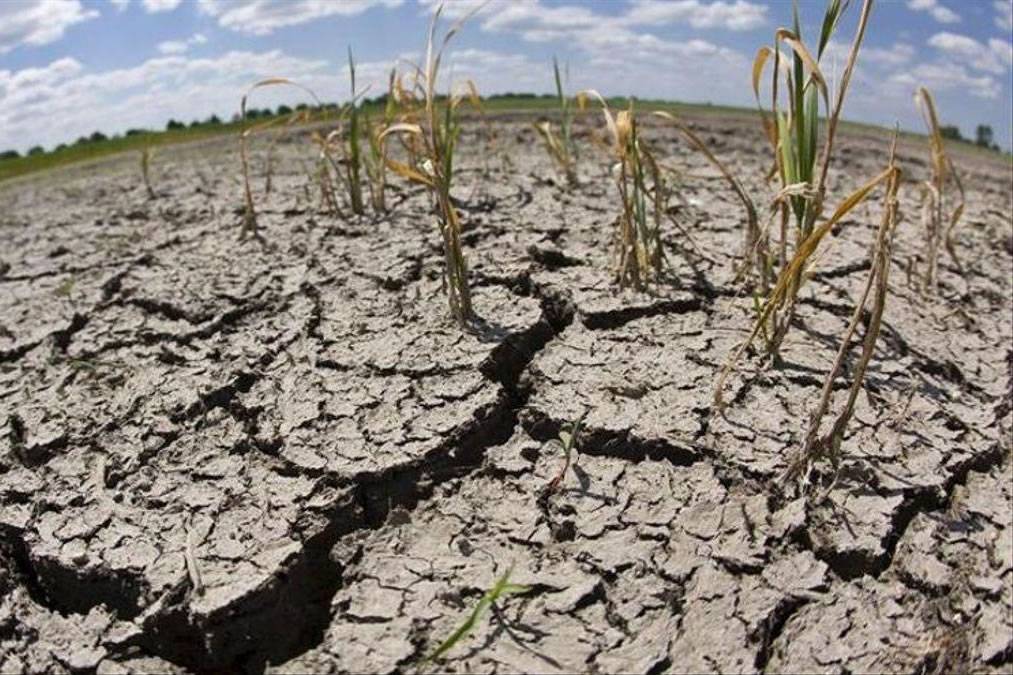 Tenerife to declare water emergency on Friday due to extreme drought