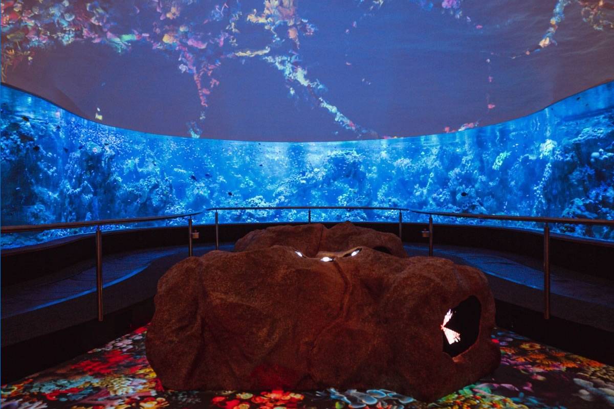 Loro Parque unveils Coral Kingdom the largest reef outside the ocean
