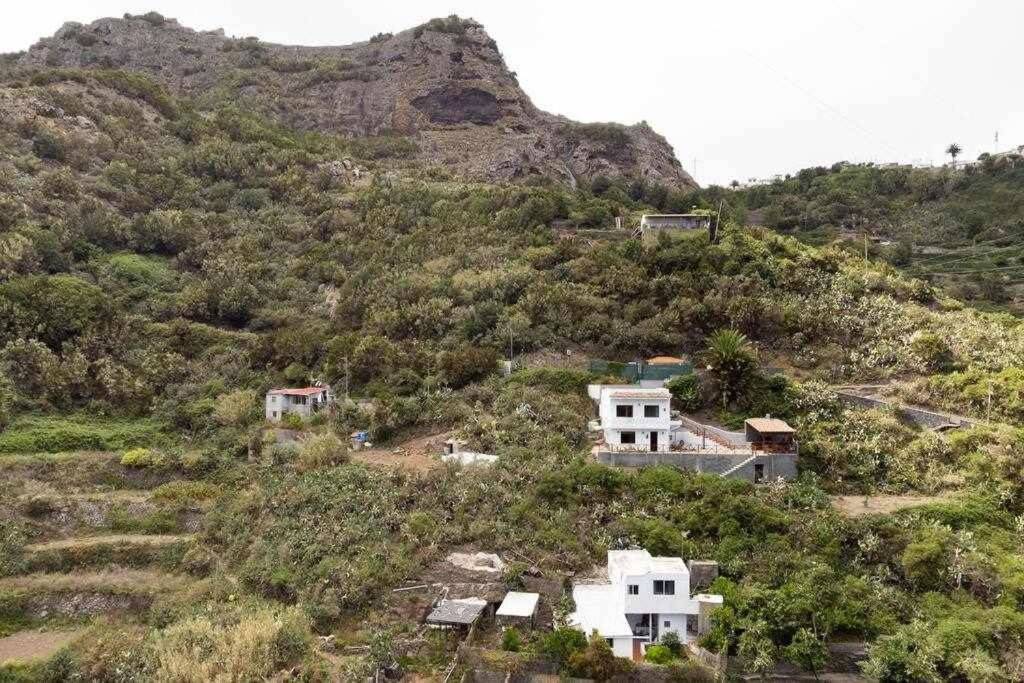 Dead body found in a house in Tenerife part eaten by animals
