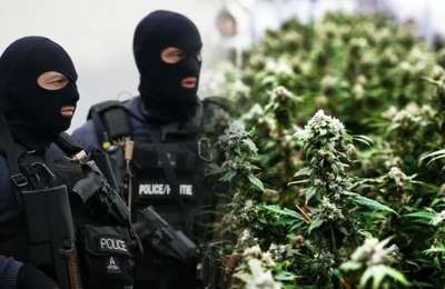 Cannabis pyramid scheme scammers laundered money in Tenerife with luxury villas 