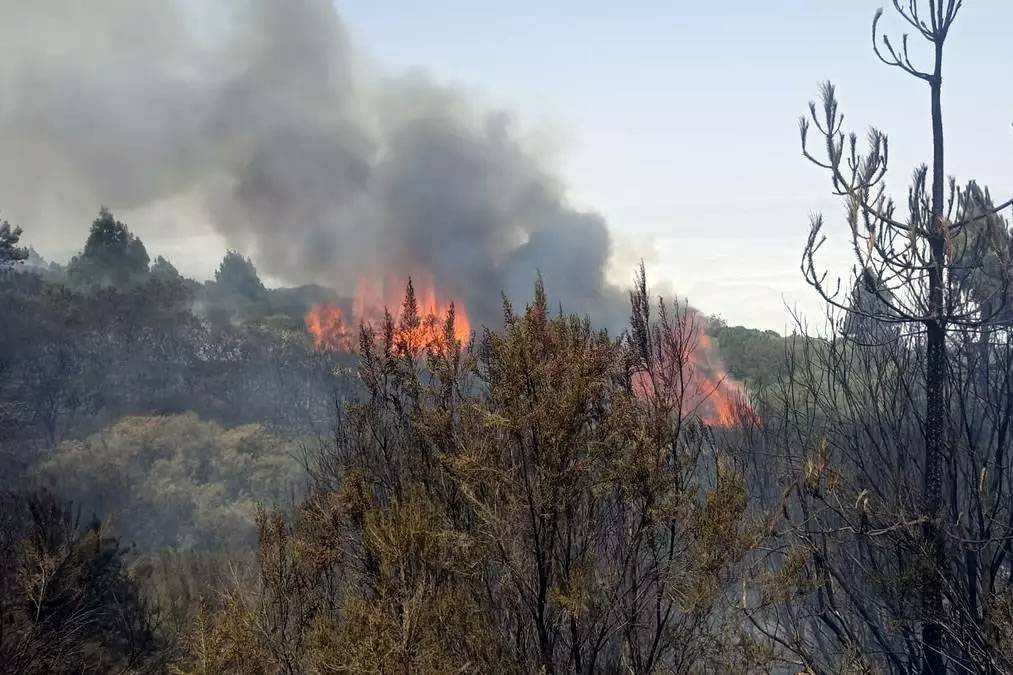 Prosecution wants 5-year prison sentence for man who started forest fire in Tenerife
